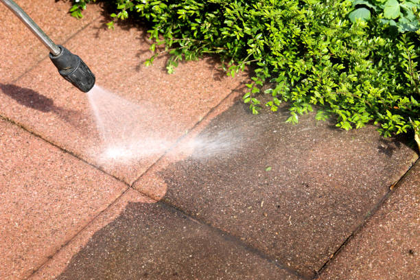 Best Exterior Home Cleaning  in Emsworth, PA